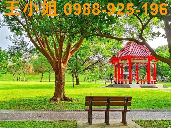 桃園建地-2