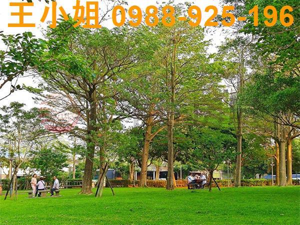 桃園建地-3