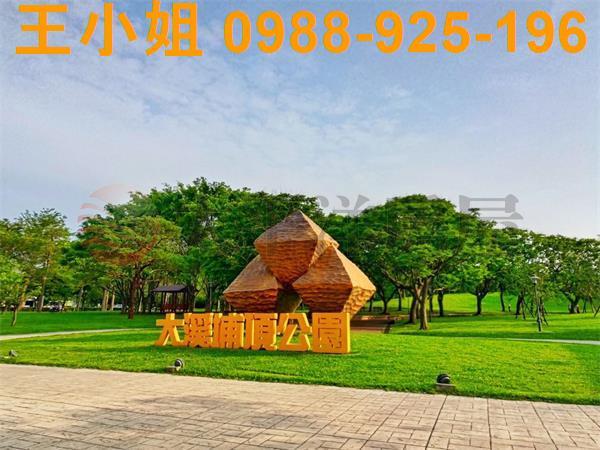 桃園建地-4