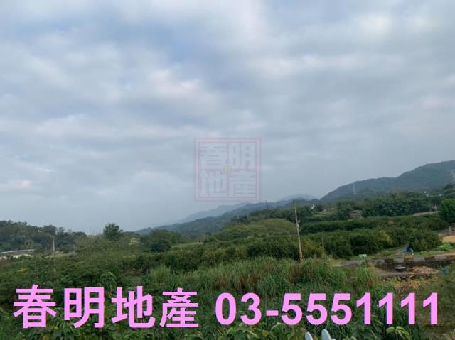 新竹農地-1
