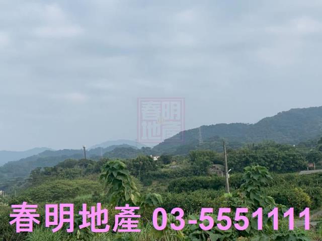 新竹農地-4