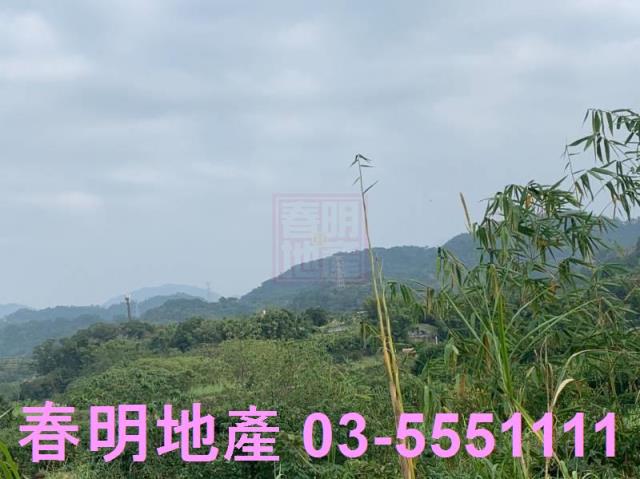 新竹農地-7