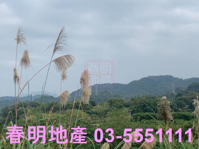 新竹農地-8