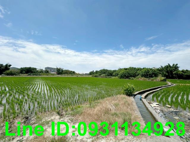 台中后里農地-3