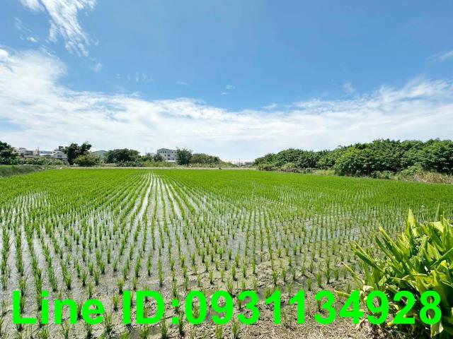 台中后里農地-2