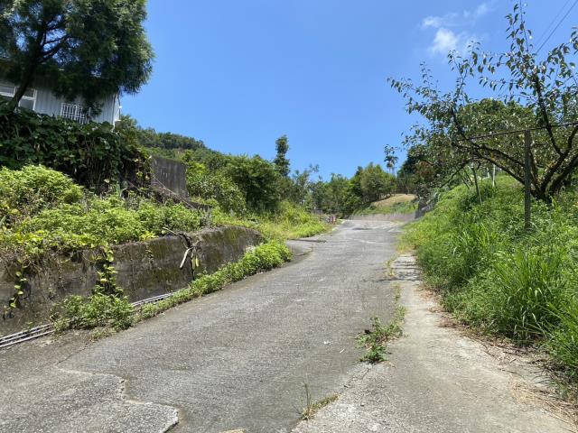 台中東勢農地-8