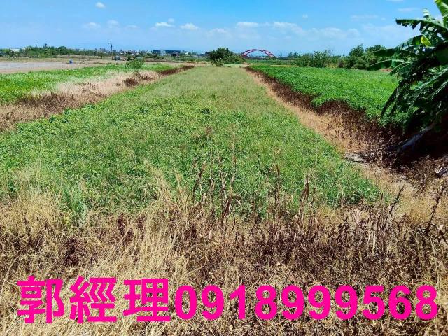 台南將軍農地-11