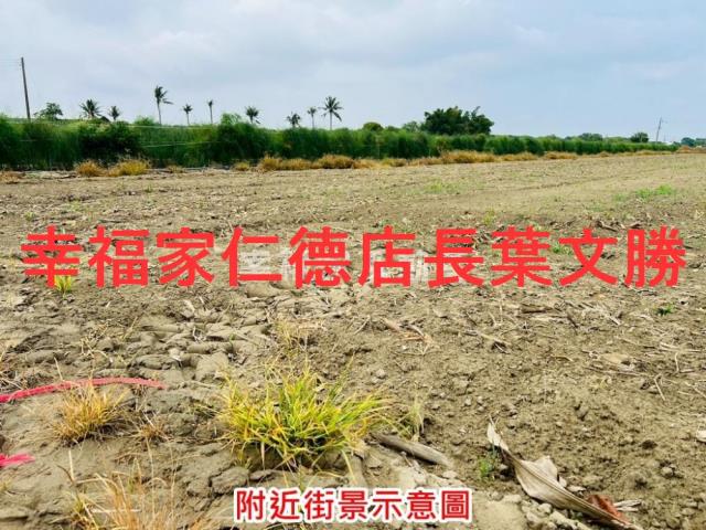 安定農地-11