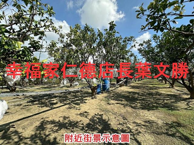 麻豆農地-14