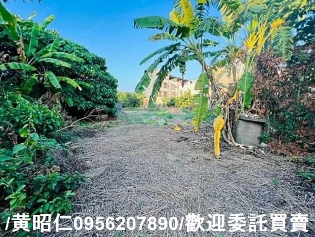 新化建地-3