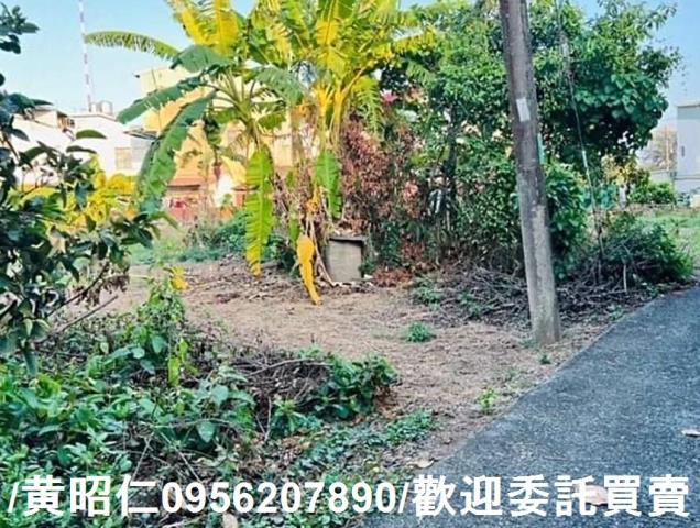 新化建地-5