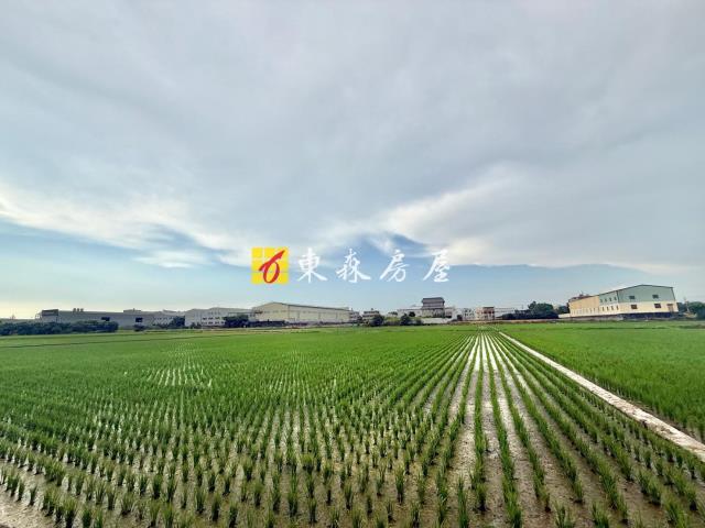 神岡農地-2