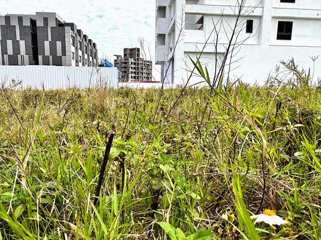 桃園觀音建地-4