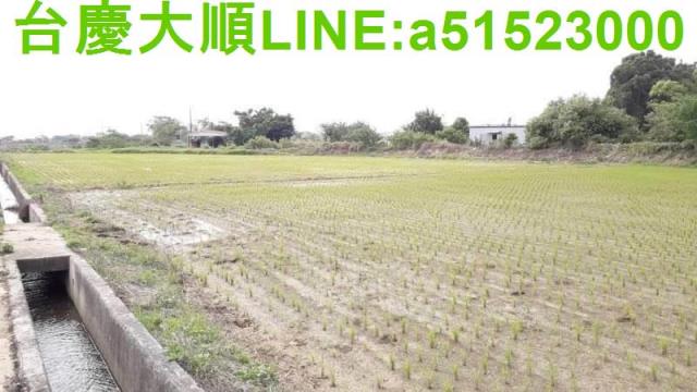 新竹新埔農地-10