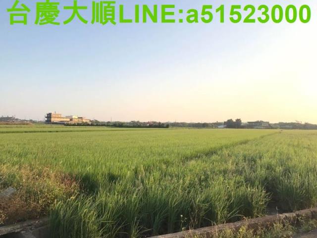 新竹新埔農地-12