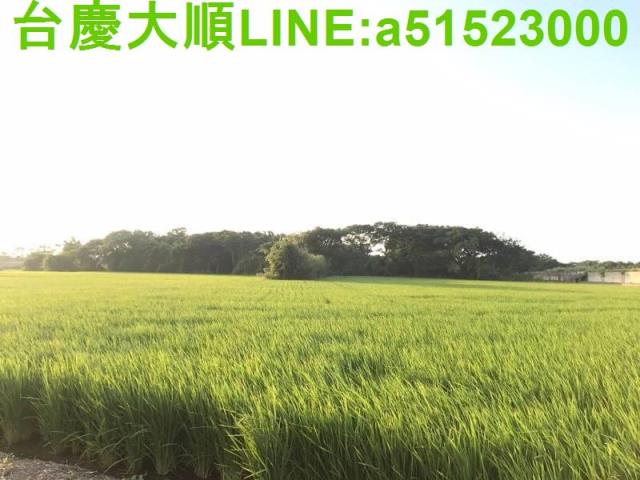 新竹新埔農地-13