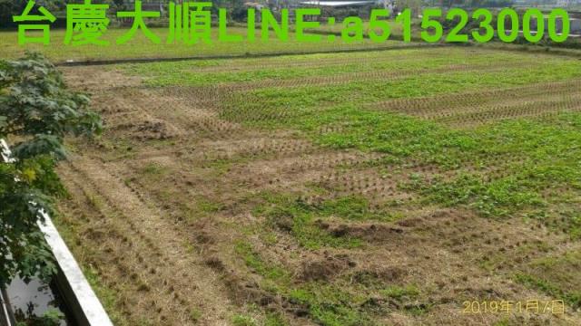 新竹新埔農地-14