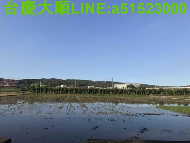 新竹新埔農地-7