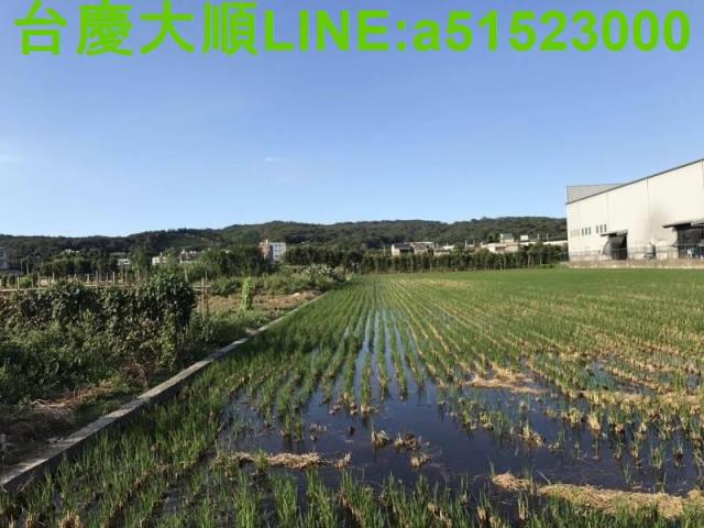 新竹新埔農地-8