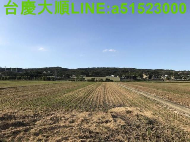 新竹新埔農地-9