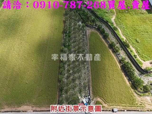 台南麻豆農地-6