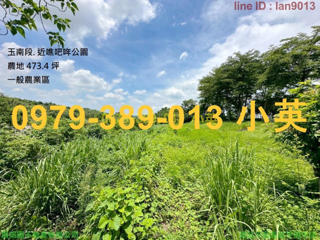 台南玉井農地-1