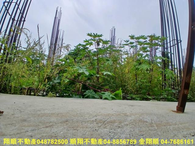 彰化田中建地-1