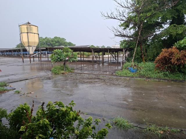 高雄阿蓮農地-12