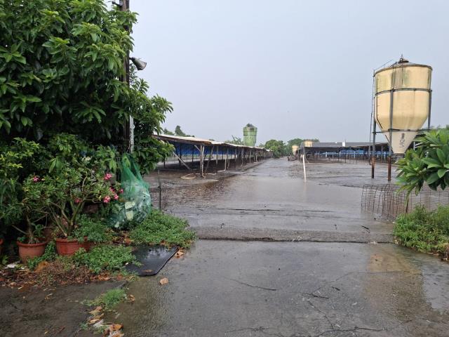 高雄阿蓮農地-14