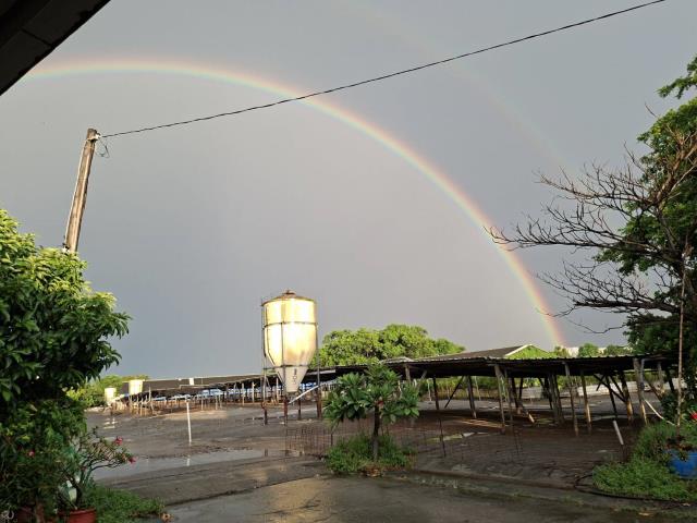 高雄阿蓮農地-2