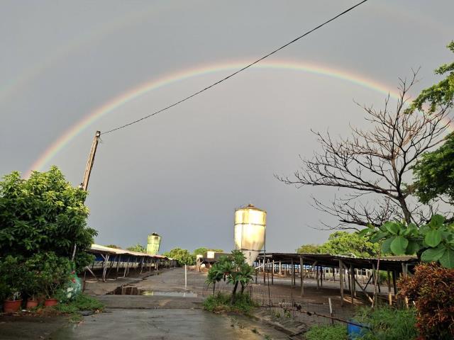 高雄阿蓮農地-4