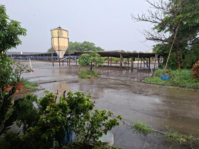 高雄阿蓮農地-6