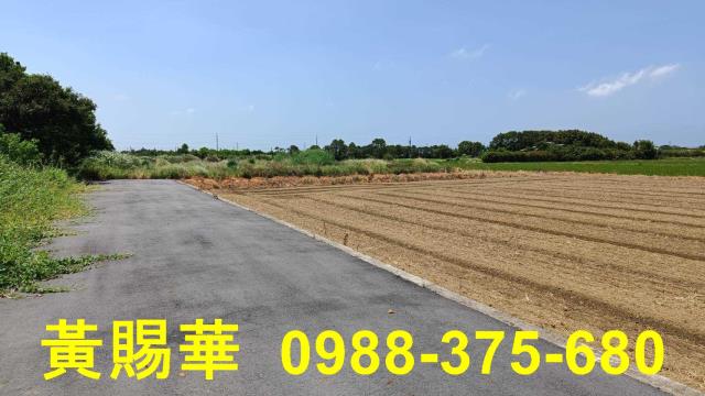 桃園新屋農地-2