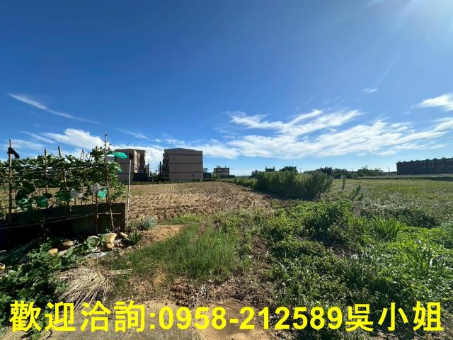 新竹湖口農地-8