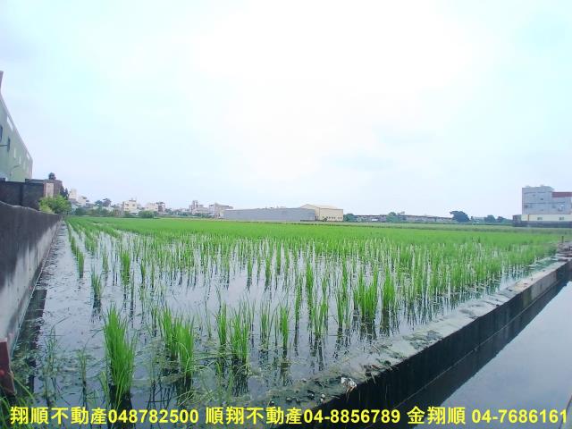 花壇農地-2