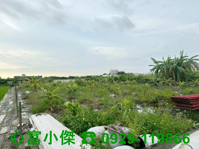 橋頭農地-1