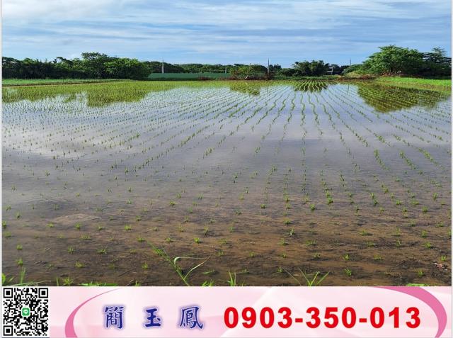 楊梅農地-1