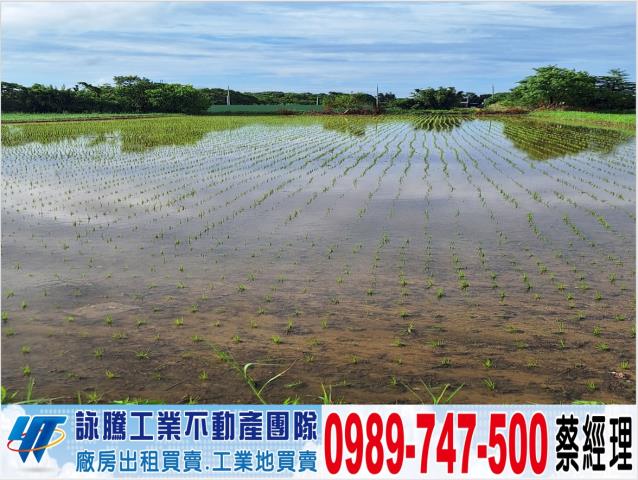 楊梅農地-1