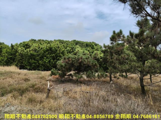 溪州農地-10