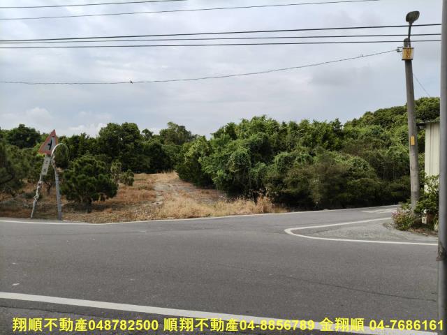 溪州農地-2