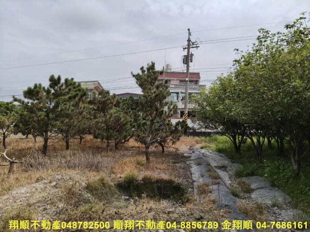 溪州農地-5