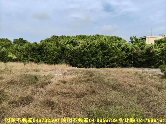 溪州農地-6