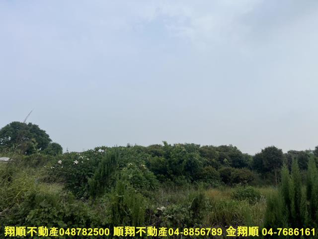 溪湖農地-11