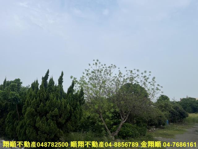 溪湖農地-12