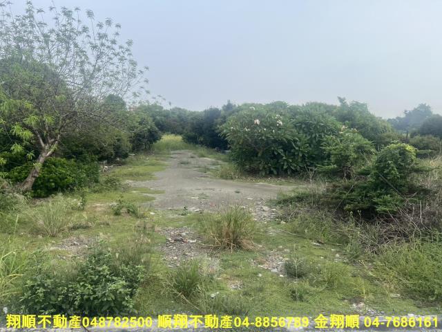 溪湖農地-4