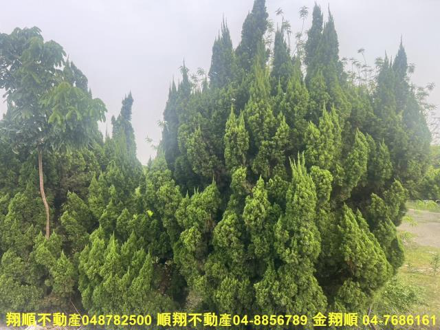 溪湖農地-5