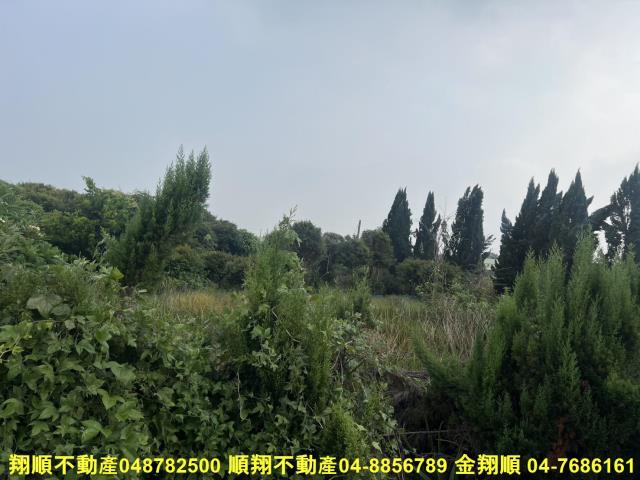 溪湖農地-8