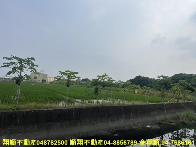 溪湖農地-4