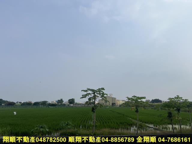 溪湖農地-5