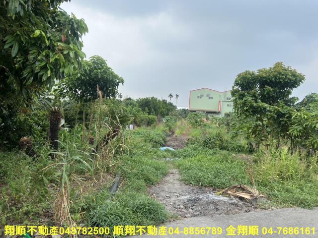 溪湖農地-7